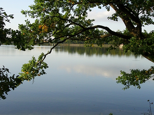 Třeboňsko, rybníky
